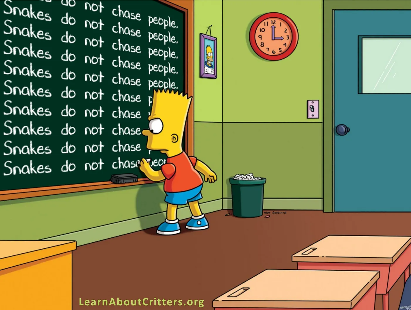 Cartoon of Bart Simpson writing “Snakes do not chase people” repeatedly on a chalkboard