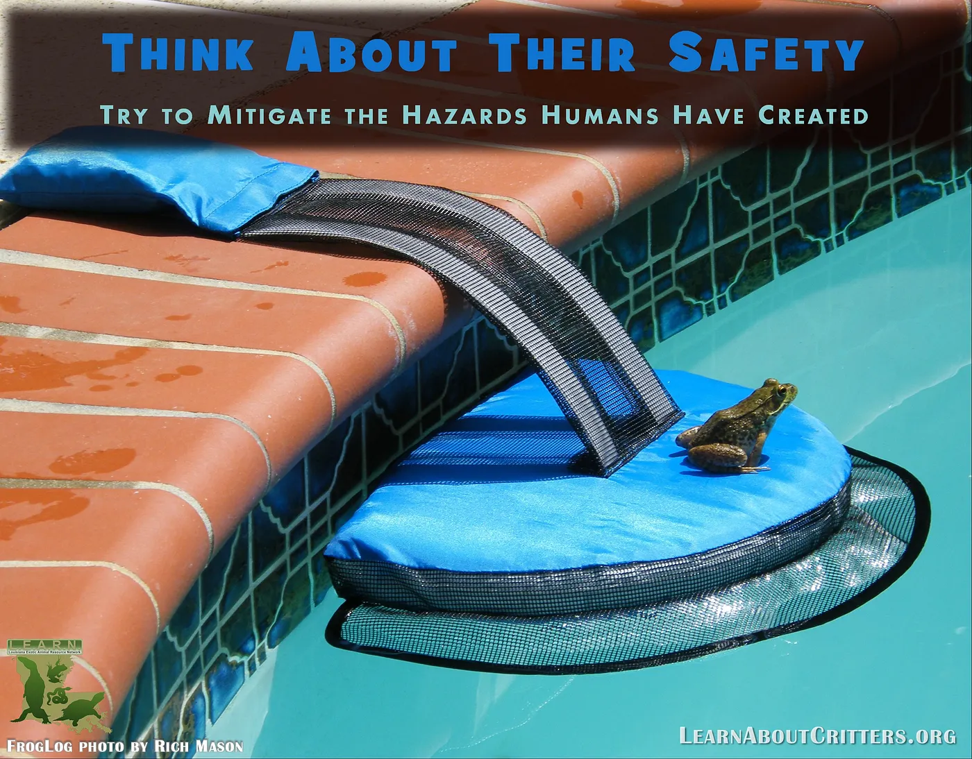 FrogLog animal escape ramp for a swimming pool