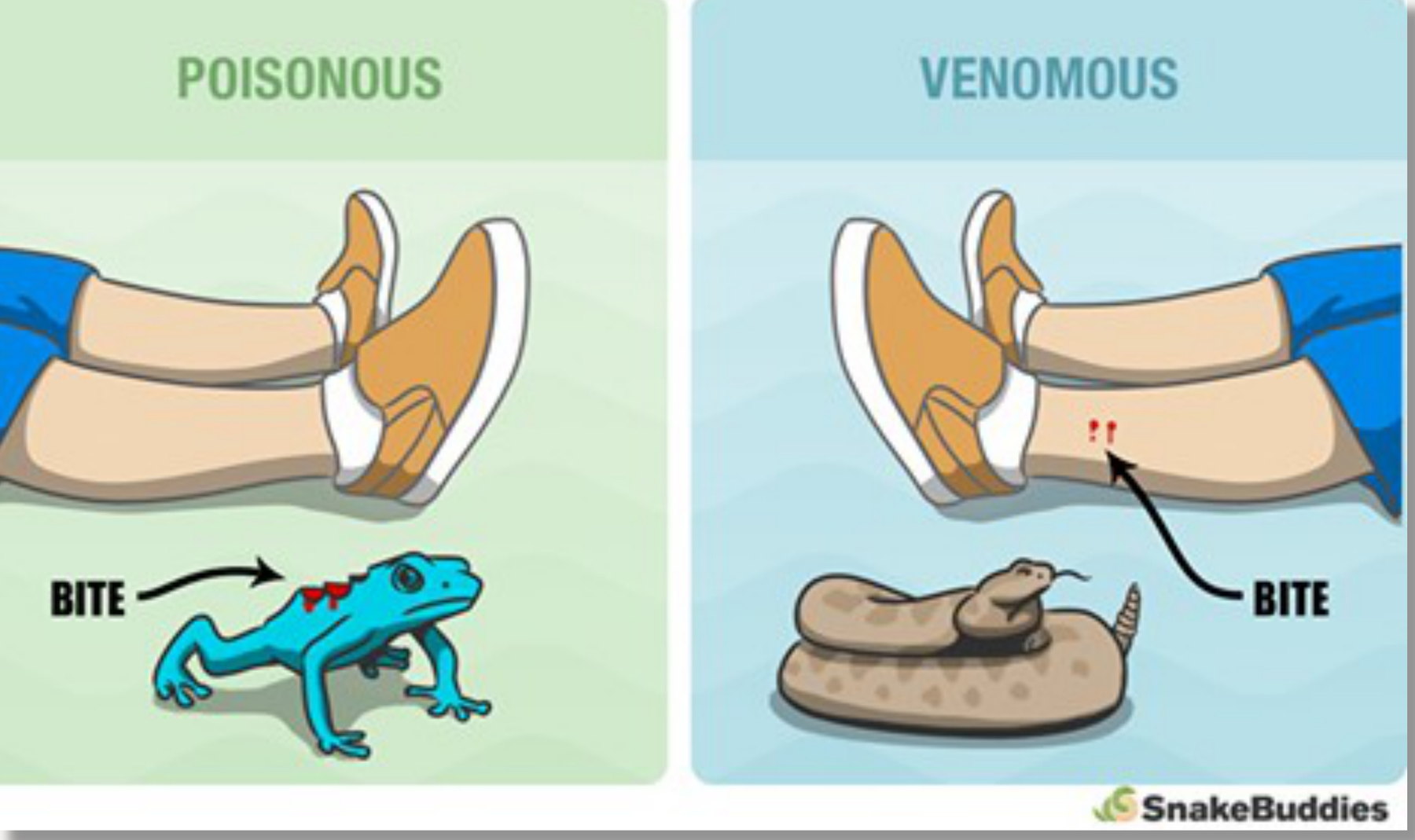 Venomous vs. Poisonous figure.