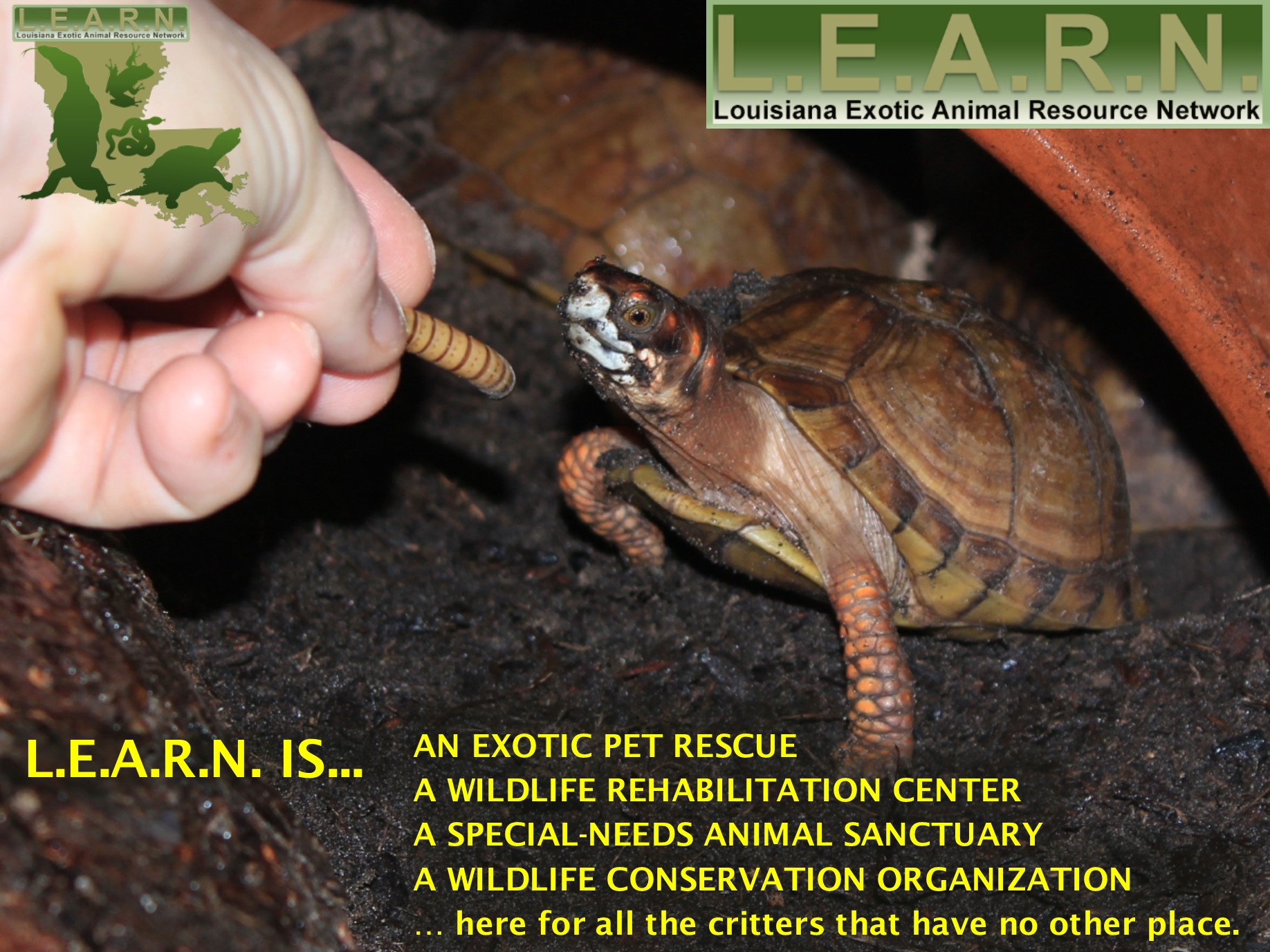 Promo Image of Louisiana Exotic Animal Resource Network