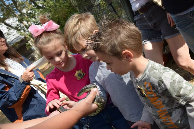 Presenting reptiles at a wildlife festival. Photo by Diane Mastrodomenico