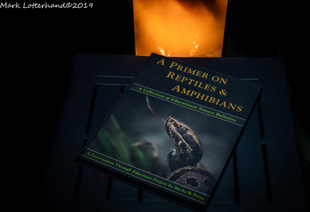 Two copies of A Primer on Reptiles & Amphibians displayed on stands under warm light.
