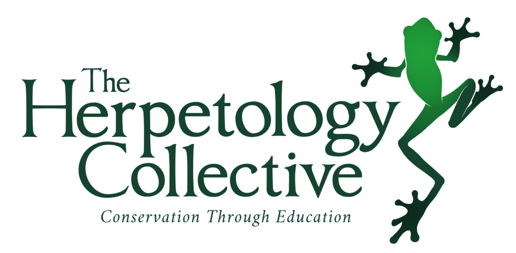 The Herpetology Collective logo: a frog above the tagline Conservation Through Education.