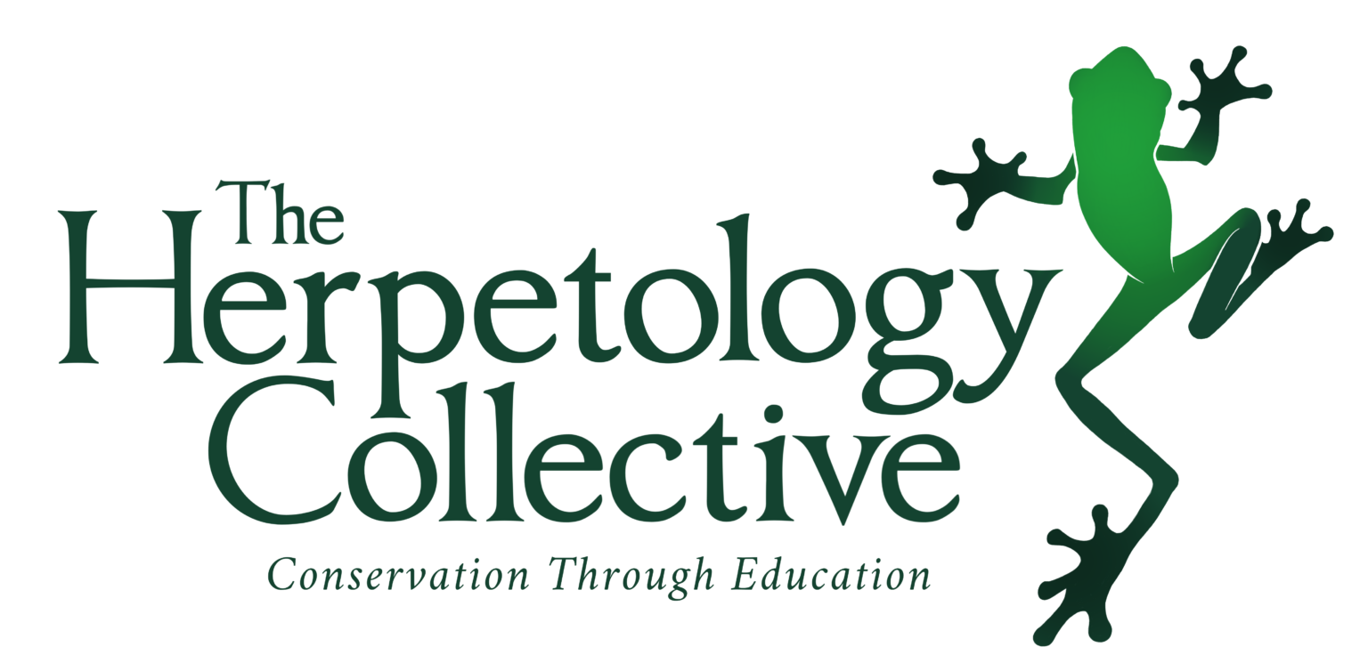 The Herpetology Collective logo: a frog above the tagline Conservation Through Education.