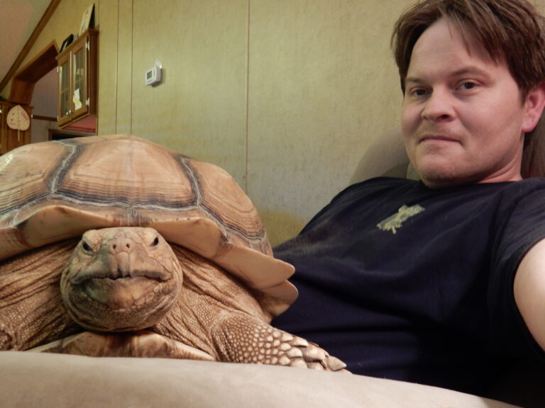 Micha Petty with a sulcata tortoise.