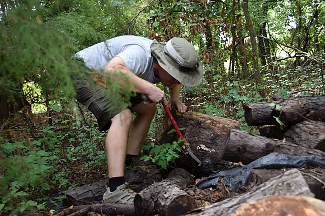Micha Petty in the woods, lifting a fallen log with a hook to look underneath it.