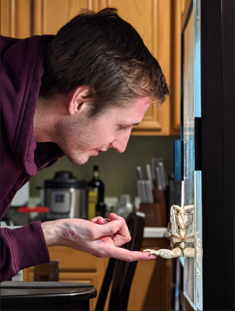 A bearded dragon with its owner.