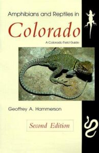 Cover of Amphibians and Reptiles in Colorado