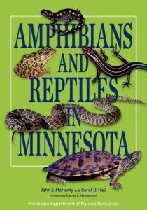 Cover of Amphibians and Reptiles in Minnesota