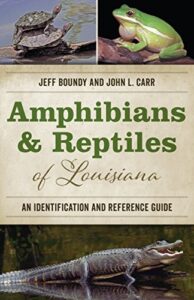 Cover of Amphibians and Reptiles of Louisiana