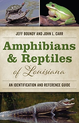 Cover of Amphibians and Reptiles of Louisiana