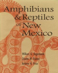 Cover of Amphibians and Reptiles of New Mexico