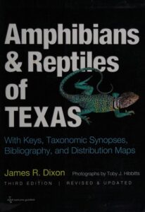 Cover of Amphibians and Reptiles of Texas