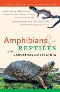 Cover of Amphibians and Reptiles of the Carolinas and Virginia