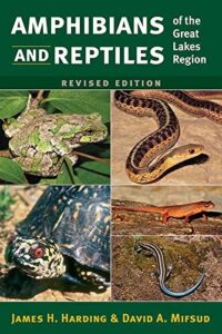 Cover of Amphibians and Reptiles of the Great Lakes Region