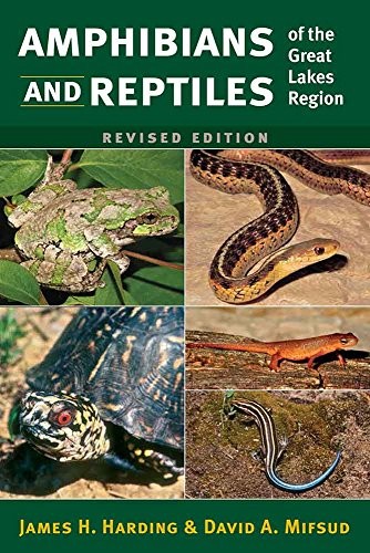 Cover of Amphibians and Reptiles of the Great Lakes Region