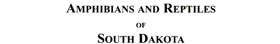 Cover of Field Guide to Amphibians and Reptiles of South Dakota