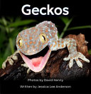 Cover of Geckos