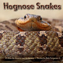 Cover of Hognose Snakes