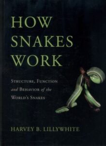 Cover of How Snakes Work