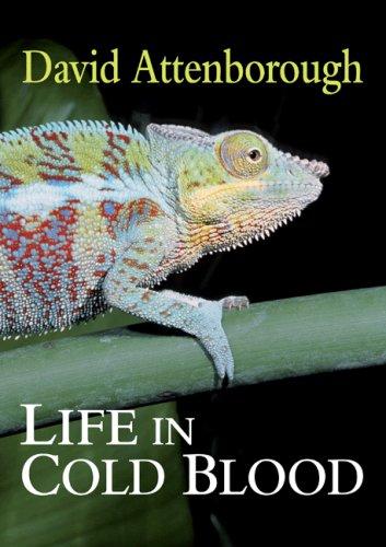 Cover of Life in Cold Blood