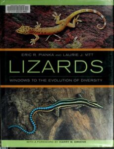 Cover of Lizards