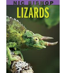 Cover of Lizards