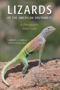 Cover of Lizards of the American Southwest