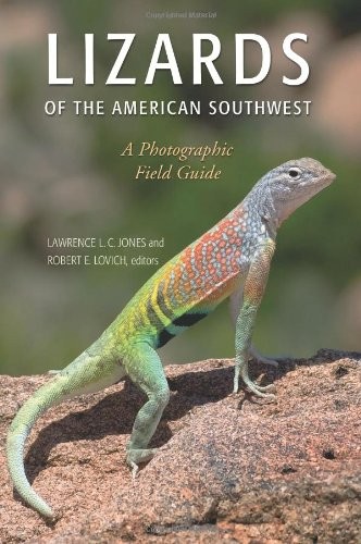 Cover of Lizards of the American Southwest