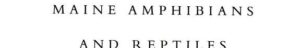 Cover of Maine Amphibians and Reptiles