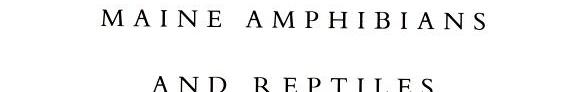 Cover of Maine Amphibians and Reptiles