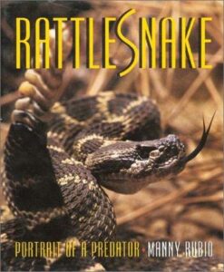 Cover of Rattlesnake