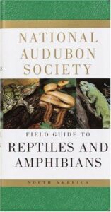 Cover of Reptiles and Amphibians
