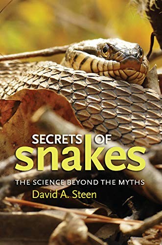 Cover of Secrets of Snakes