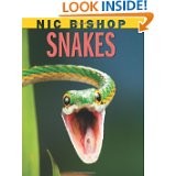 Cover of Snakes