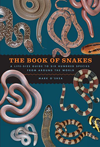 Cover of The Book of Snakes