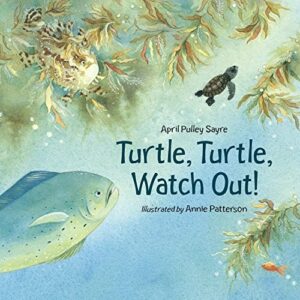 Cover of Turtle, Turtle, Watch Out!