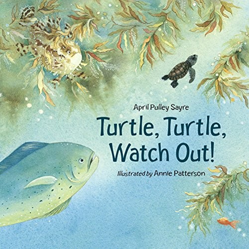 Cover of Turtle, Turtle, Watch Out!
