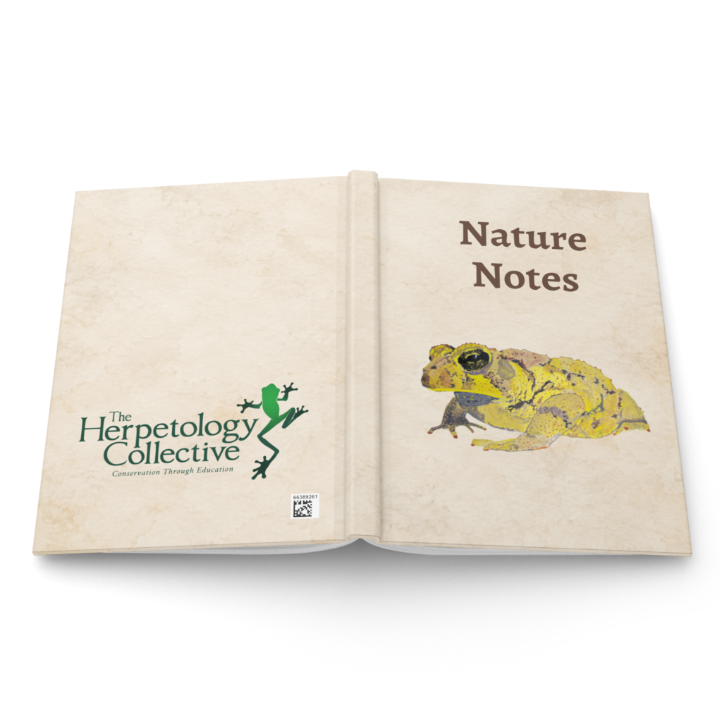Hardcover journal matte white 8x5.75 front 6ac6dee9ed1a3.png