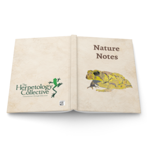 Hardcover journal matte white 8x5.75 front 6ac6dee9ed1a3.png