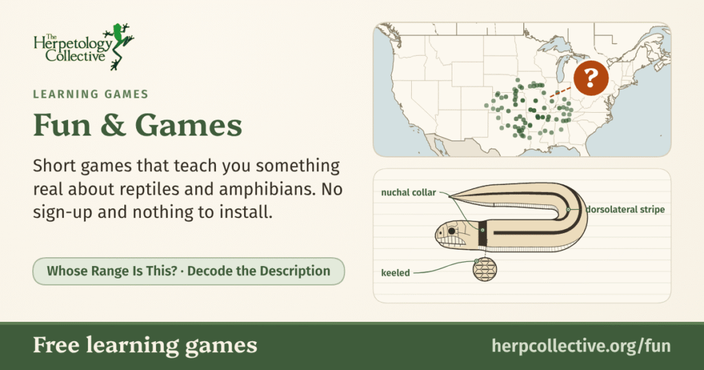 Fun & Games, free learning games from The Herpetology Collective: a map of the United States and southern Canada with a cluster of sighting dots and a question mark, and a made-up snake labelled nuchal collar, dorsolateral stripe and keeled.